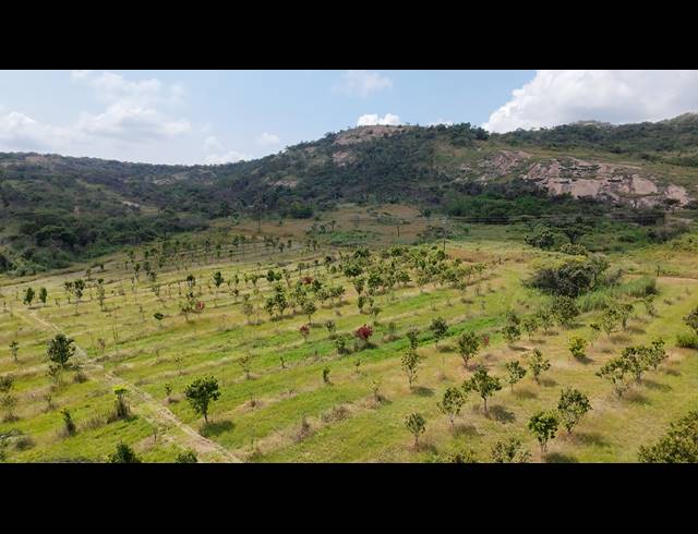 11HA FARM FOR SALE IN NELSPRUIT RURAL
